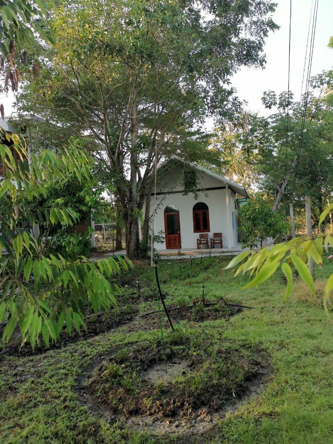 Baangaimuan Bed & Breakfast Ламфун Екстериор снимка
